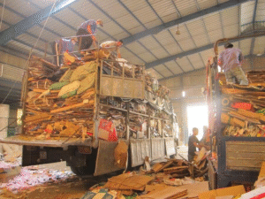 Workers managing large amounts of scrap cardboard and paper at a professional indoor recycling yard